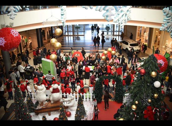 CYTA Christmas Campaign