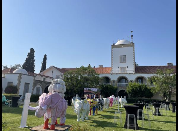 Sophia for Children – The Elephant in the Room - CSR Activation